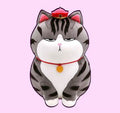 Peluche gato molesto