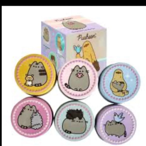 Pusheen surprise
