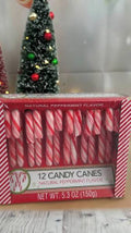 Bastones Navidad grandes caja 12und